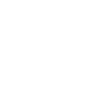 E- traders